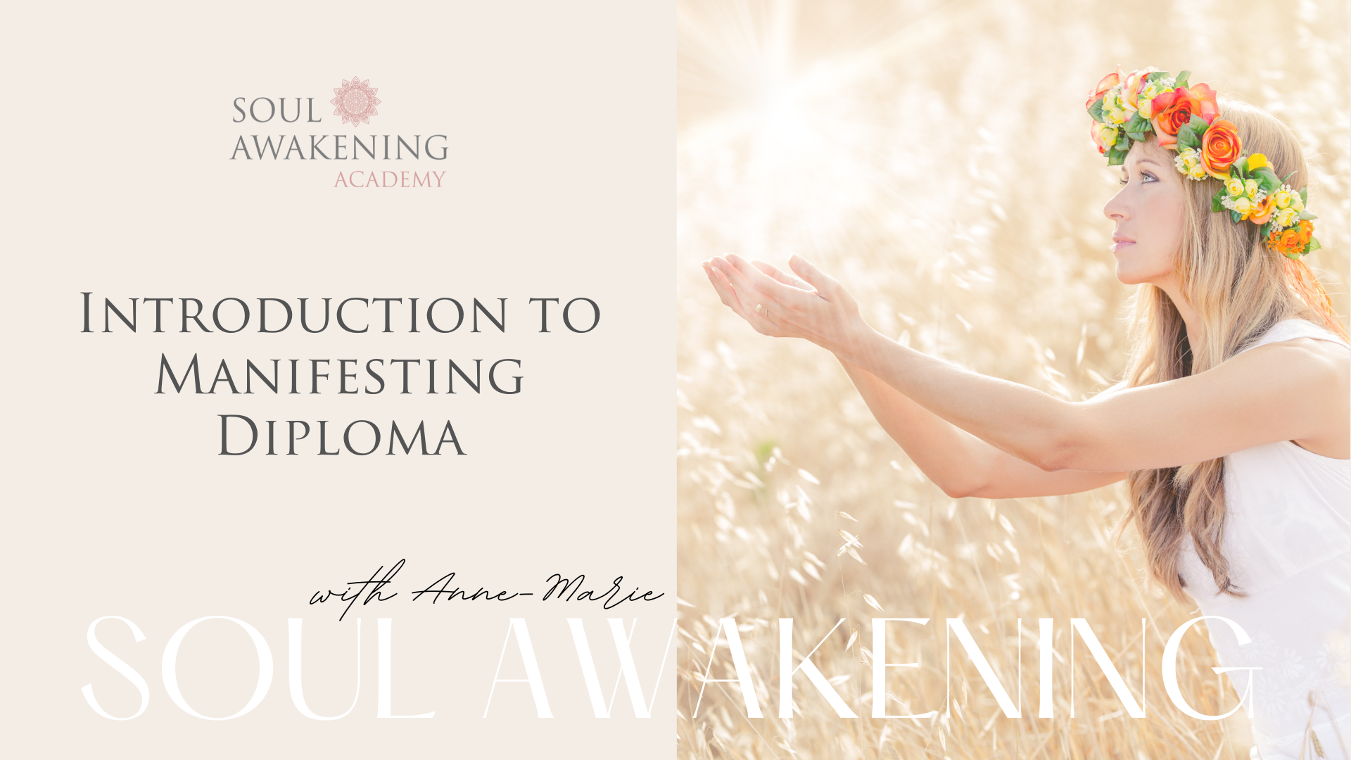 Introduction to Manifesting Diploma
