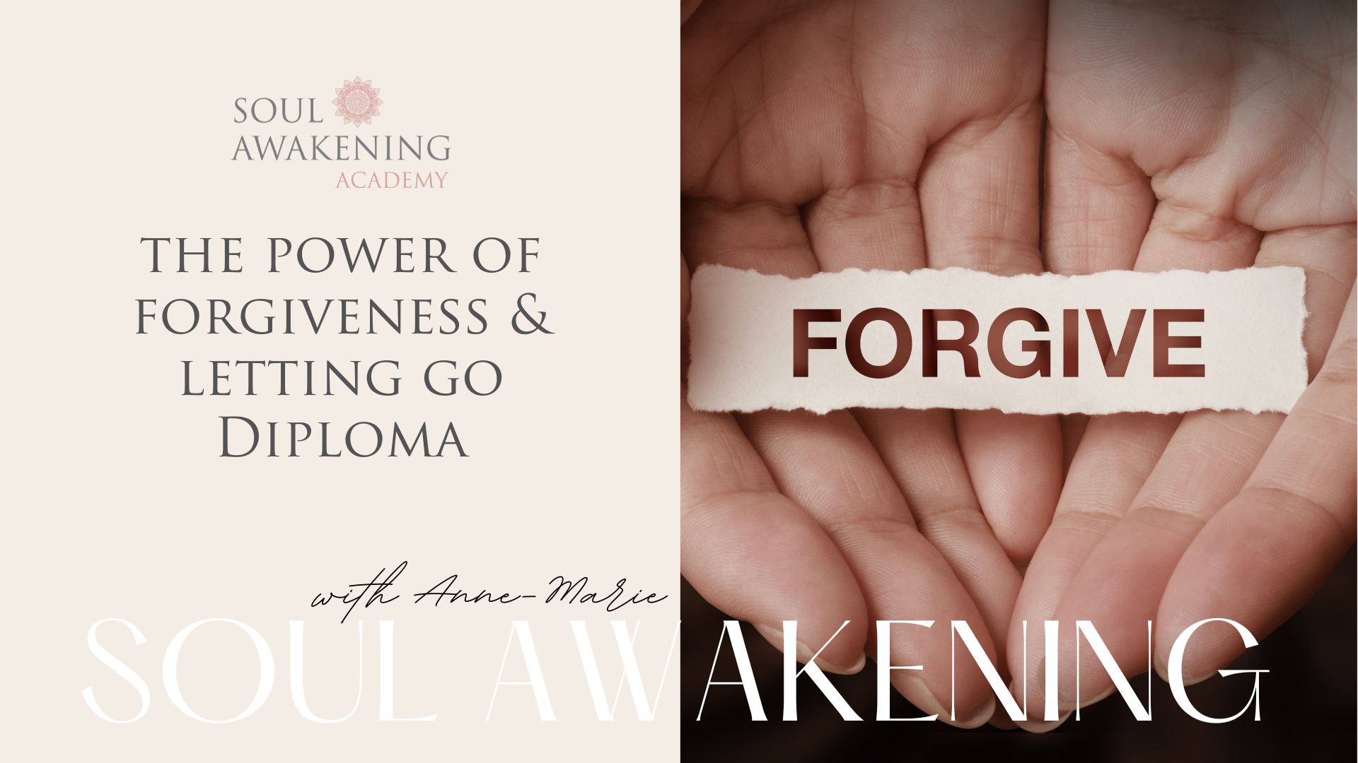 The Power of Forgiveness & Letting Go Diploma